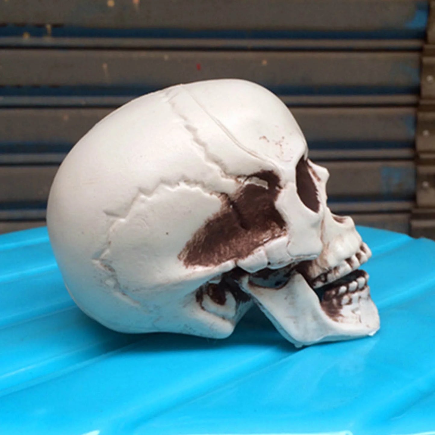 Deals of the Day! Decorations Indoor Outdoor on Clearance, Skeletons Realistic Human Skull Headbone Model Prop Realistic Mini Skeleton