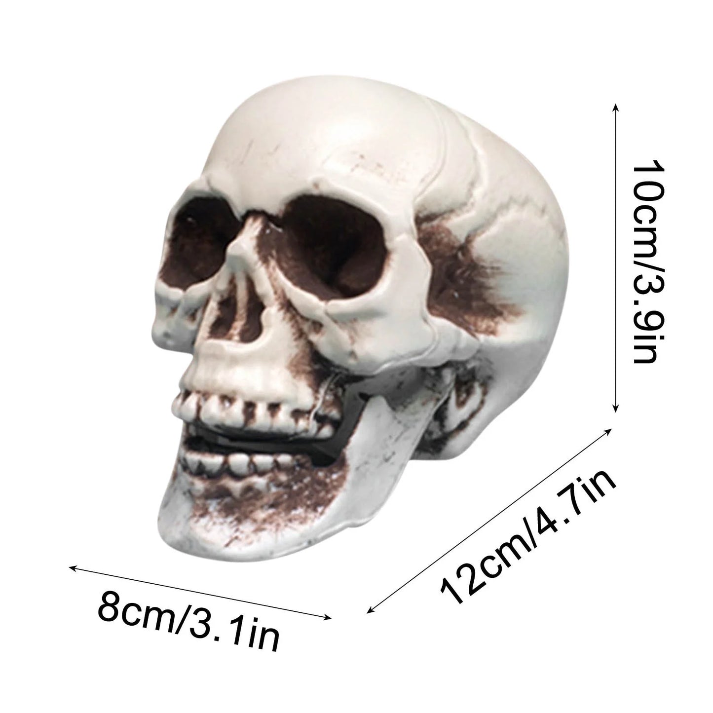 Deals of the Day! Decorations Indoor Outdoor on Clearance, Skeletons Realistic Human Skull Headbone Model Prop Realistic Mini Skeleton