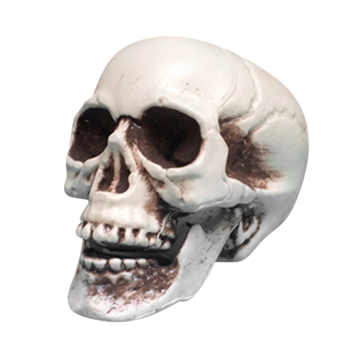 Deals of the Day! Decorations Indoor Outdoor on Clearance, Skeletons Realistic Human Skull Headbone Model Prop Realistic Mini Skeleton