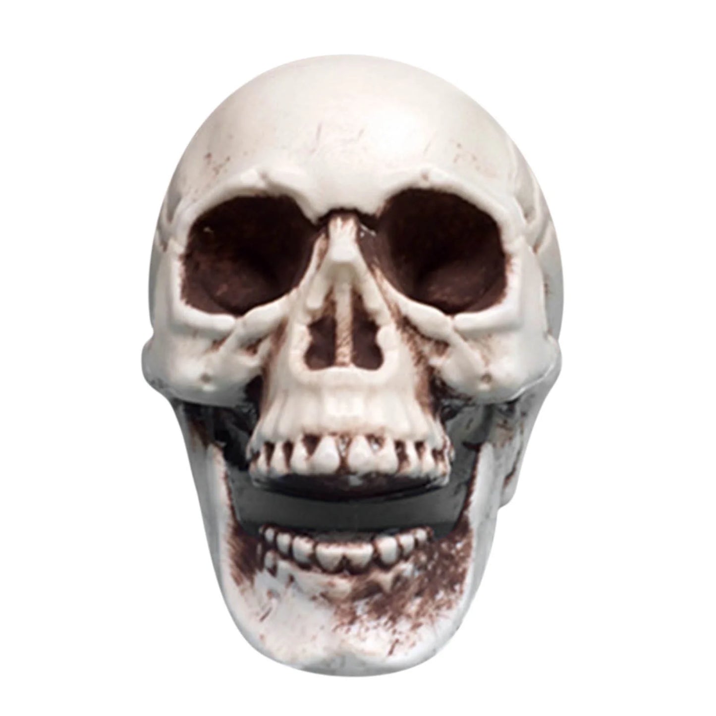 Deals of the Day! Decorations Indoor Outdoor on Clearance, Skeletons Realistic Human Skull Headbone Model Prop Realistic Mini Skeleton