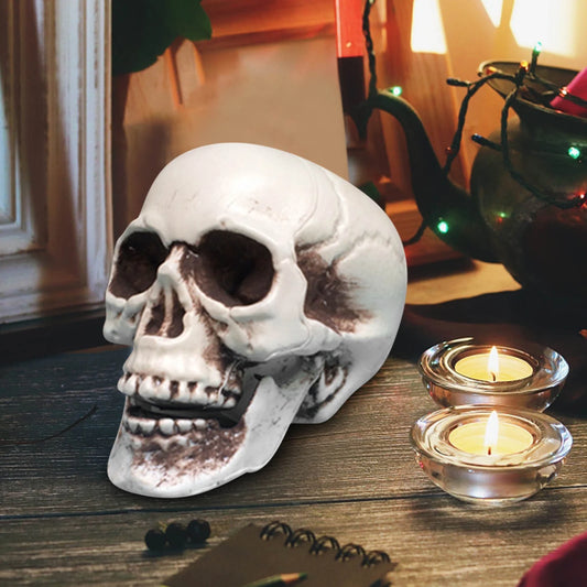 Deals of the Day! Decorations Indoor Outdoor on Clearance, Skeletons Realistic Human Skull Headbone Model Prop Realistic Mini Skeleton